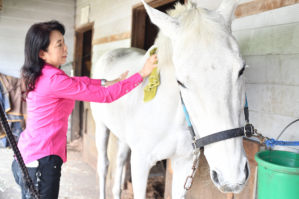 馬との接し方