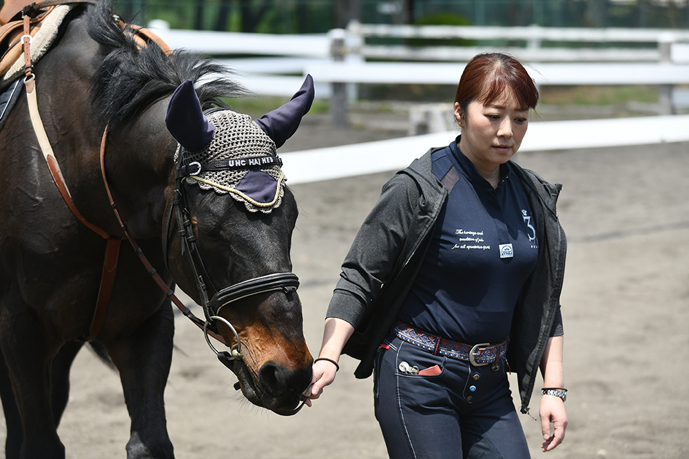 馬との接し方